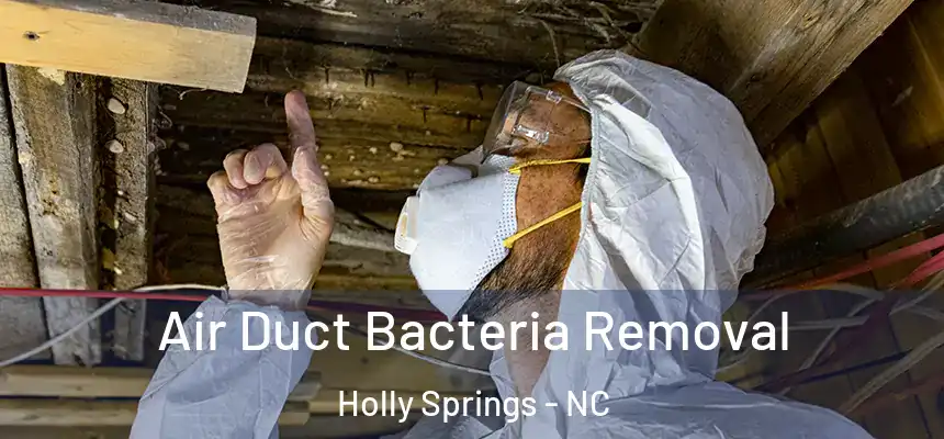  Air Duct Bacteria Removal Holly Springs - NC