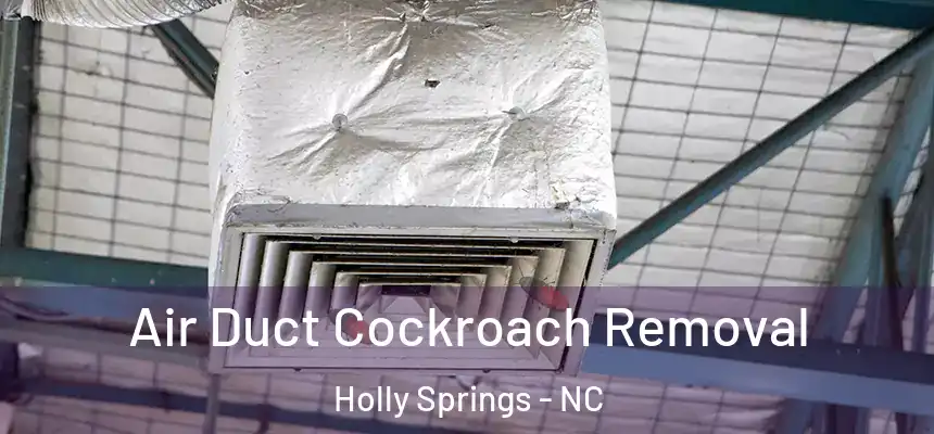  Air Duct Cockroach Removal Holly Springs - NC