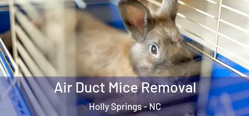  Air Duct Mice Removal Holly Springs - NC