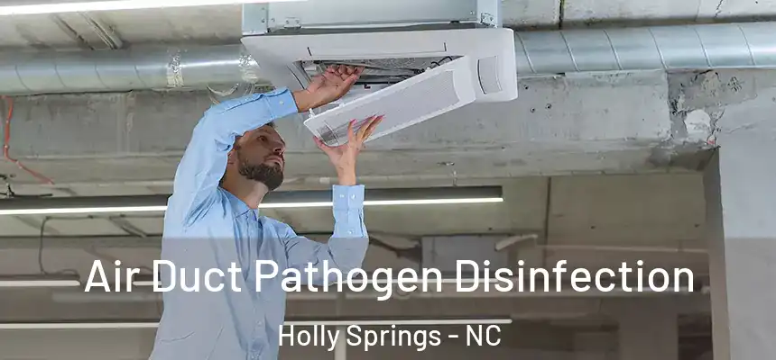  Air Duct Pathogen Disinfection Holly Springs - NC