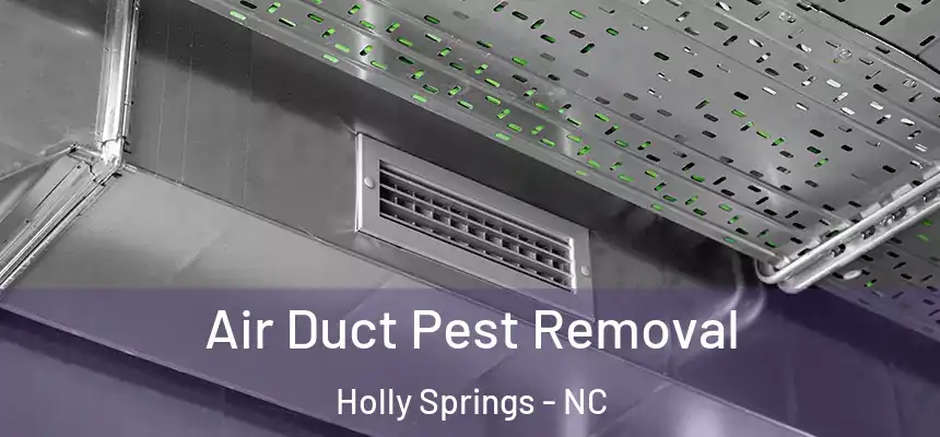  Air Duct Pest Removal Holly Springs - NC