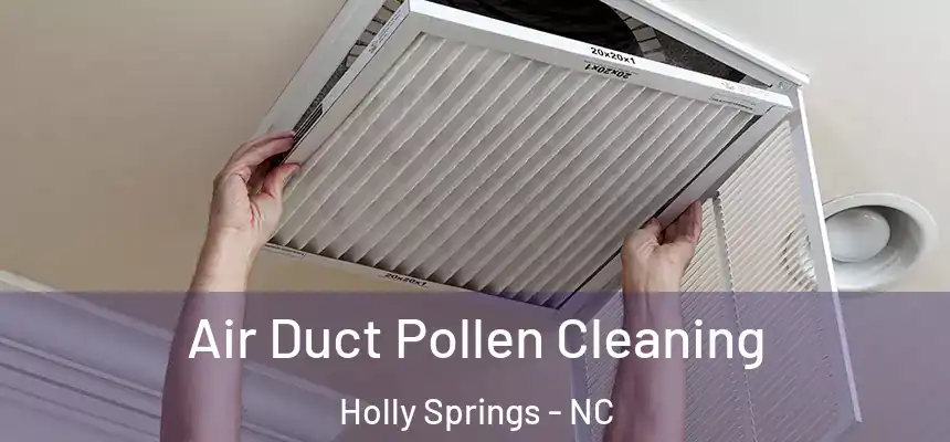  Air Duct Pollen Cleaning Holly Springs - NC