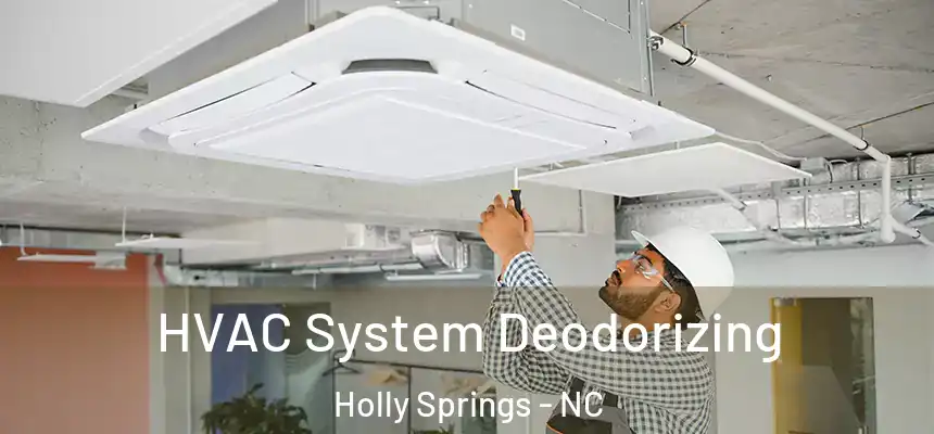  HVAC System Deodorizing Holly Springs - NC