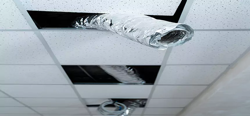 Affordable HVAC Sanitizing After Pest Removal in Holly Springs