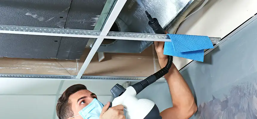 Our Air Duct Rodent Removal Services in Holly Springs, NC