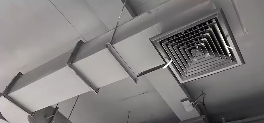 Restorative Allergy Relief Vent Cleaning – Coil, Blower & Housing Detail in Holly Springs