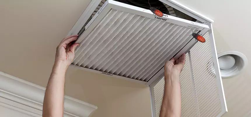 Our Insect Removal from Air Ducts Services in Holly Springs, NC