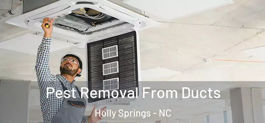  Pest Removal From Ducts Holly Springs - NC