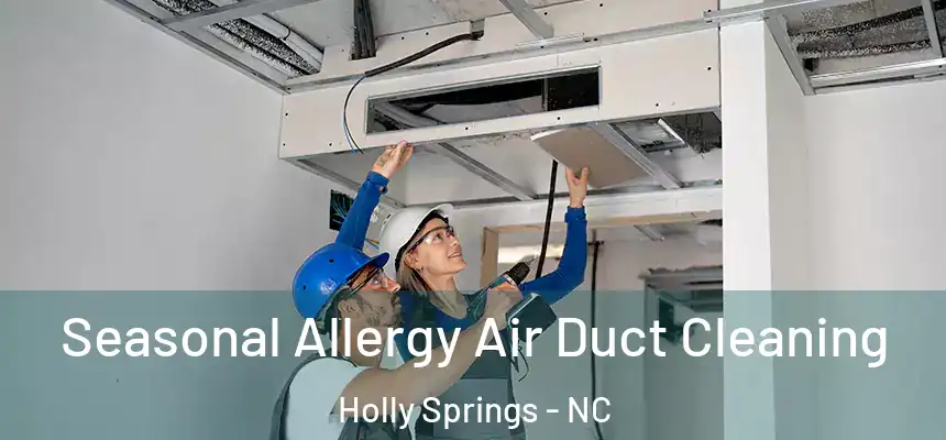  Seasonal Allergy Air Duct Cleaning Holly Springs - NC