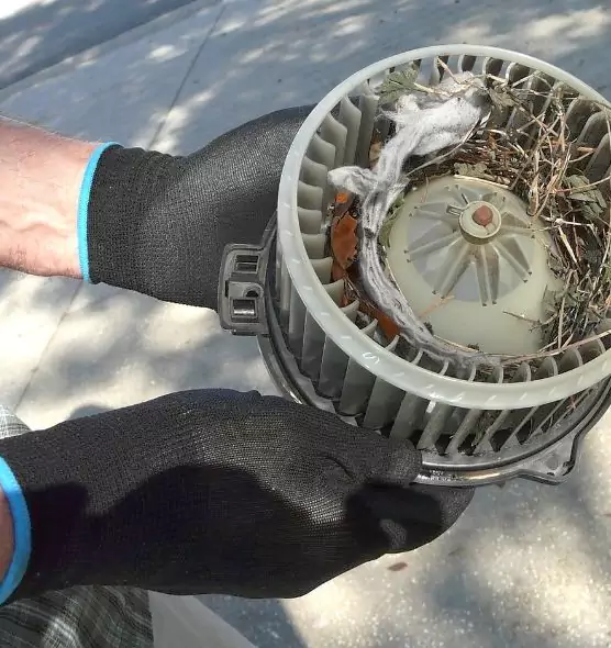 About Air Duct Mice Removal in Holly Springs, NC