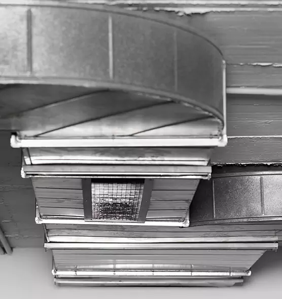 Professional Air Duct Pet Hair Removal in Holly Springs, NC