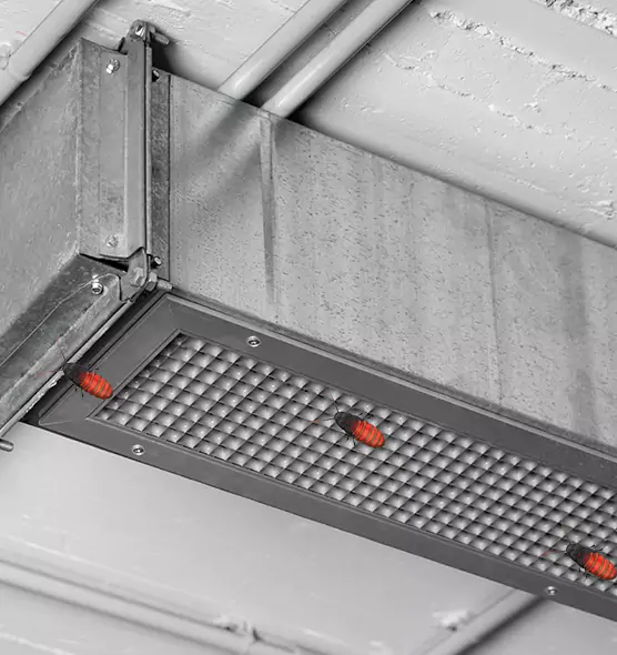 Affordable Insect Removal from Air Ducts in Holly Springs, NC