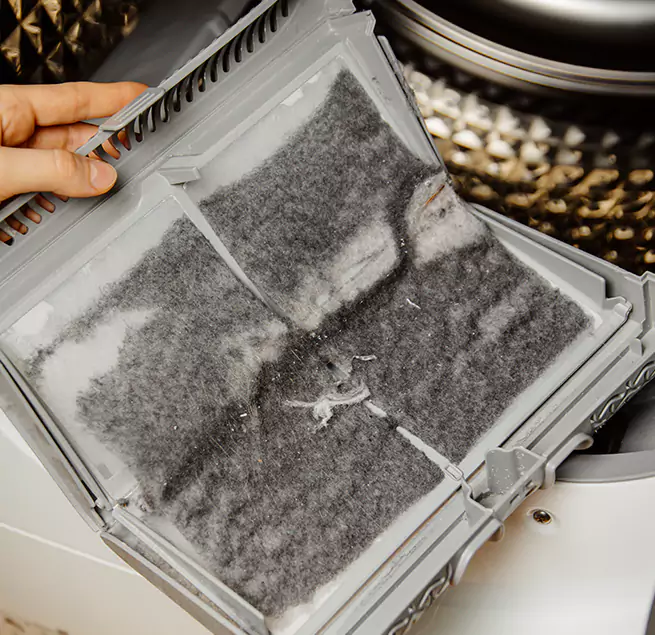  Why Homeowners & Businesses Trust Us Holly Springs, NC?