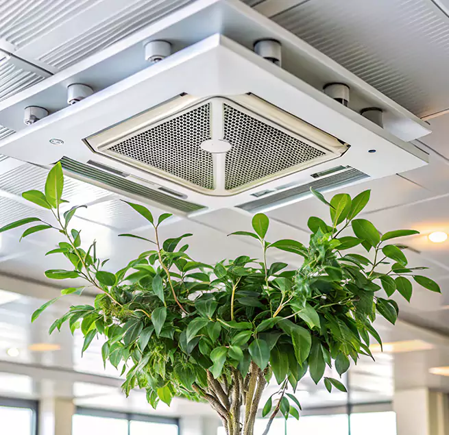 Why Homeowners & Businesses Trust Us in Holly Springs, NC?