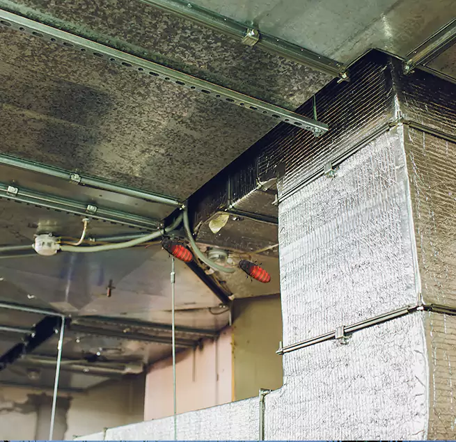 Why Homeowners & Businesses Trust Us Holly Springs, NC?