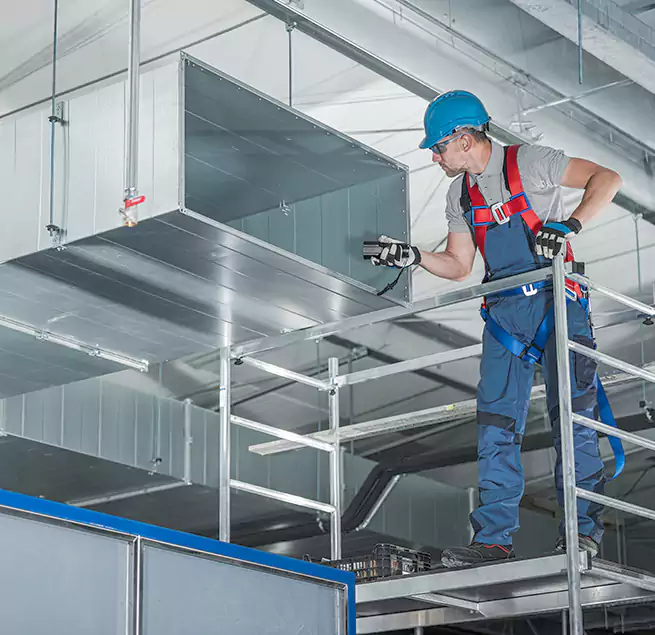 Why Homeowners & Businesses Trust Us in Holly Springs, NC?