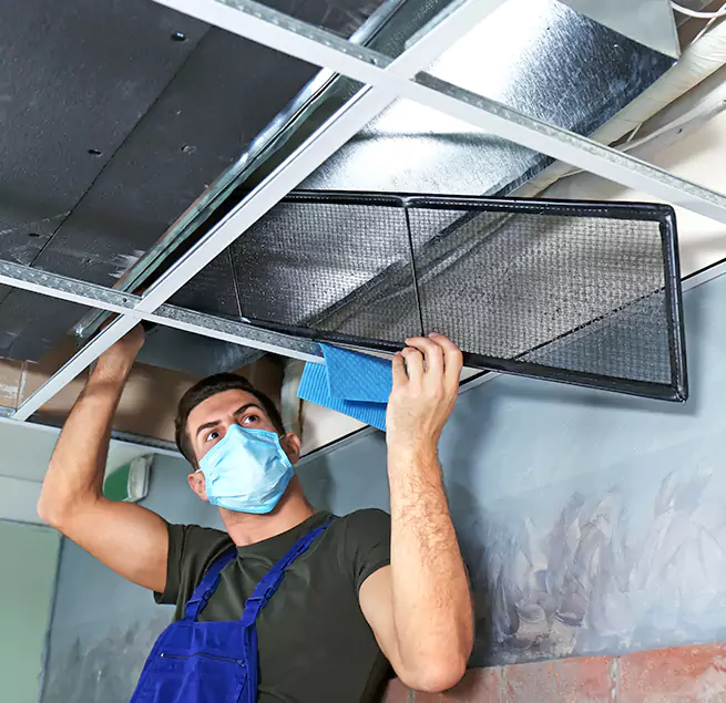 Why Homeowners & Businesses Trust Us in Holly Springs, NC?