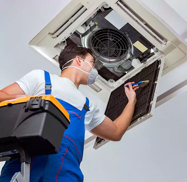 Why Homeowners & Businesses Trust Us in Holly Springs, NC?